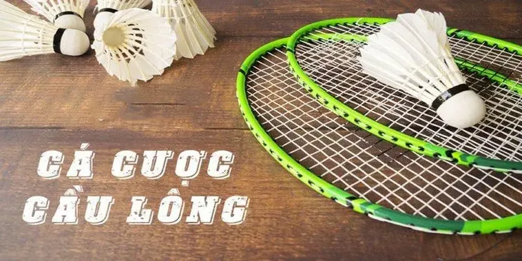 Chiến Thuật Cá Cược Cầu Lông Tại Boss8 Đem Lại Lợi Nhuận Cao