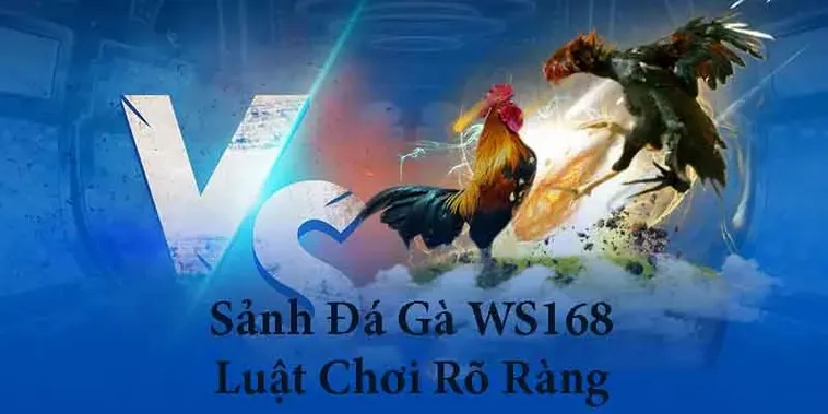 Chiến Lược Chơi Đá Gà WS168 Tại Boss8 Đem Về Lợi Nhuận Khổng Lồ