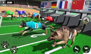 Hướng Dẫn Soi Kèo Game Đua Chó Tại Boss8 Chính Xác Tuyệt Đối