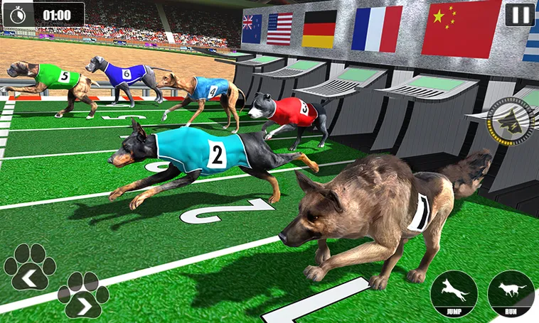 Hướng Dẫn Soi Kèo Game Đua Chó Tại Boss8 Chính Xác Tuyệt Đối